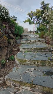 GC-Mirador Pico de Bandama 2026-03.jpg